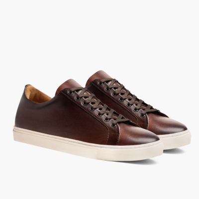 Thursday Boots Premier Low Top Sneakers Herre Brune | US7961DYF