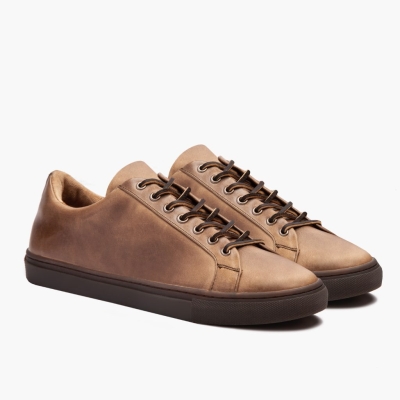 Thursday Boots Premier Low Top Sneakers Herre Brune | US9523BAU